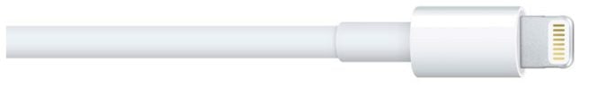 The Monopoly of Apple Continues. In-bound Lightning Connectors With Other Accessories.