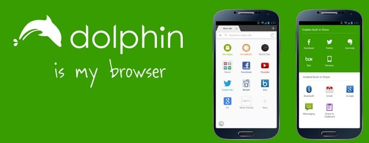 Dolphin Browser Gets Flash Supports for the Android Lollipop Devices
