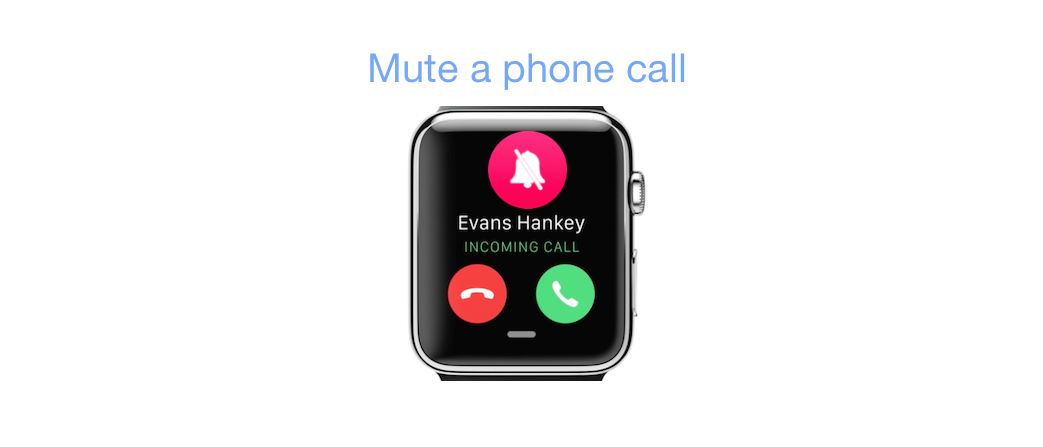 How to Mute Phone Call on Apple Watch