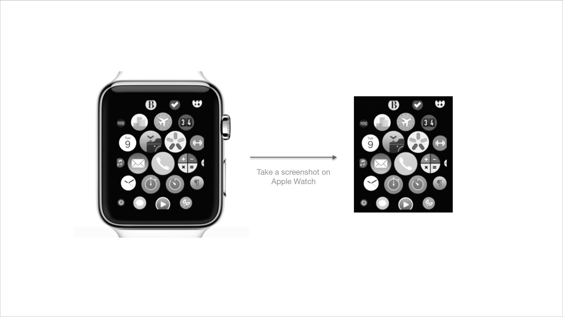 How to Take A Screenshot and Share it on Apple Watch