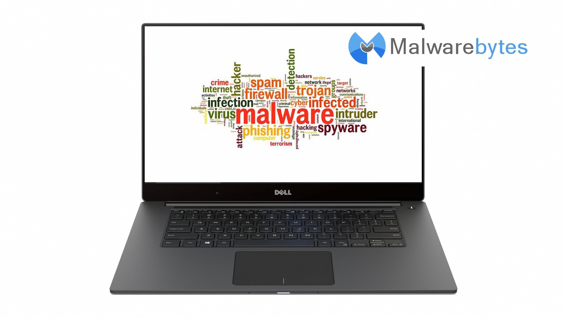 How To Download Malwarebytes Anti-Malware Windows