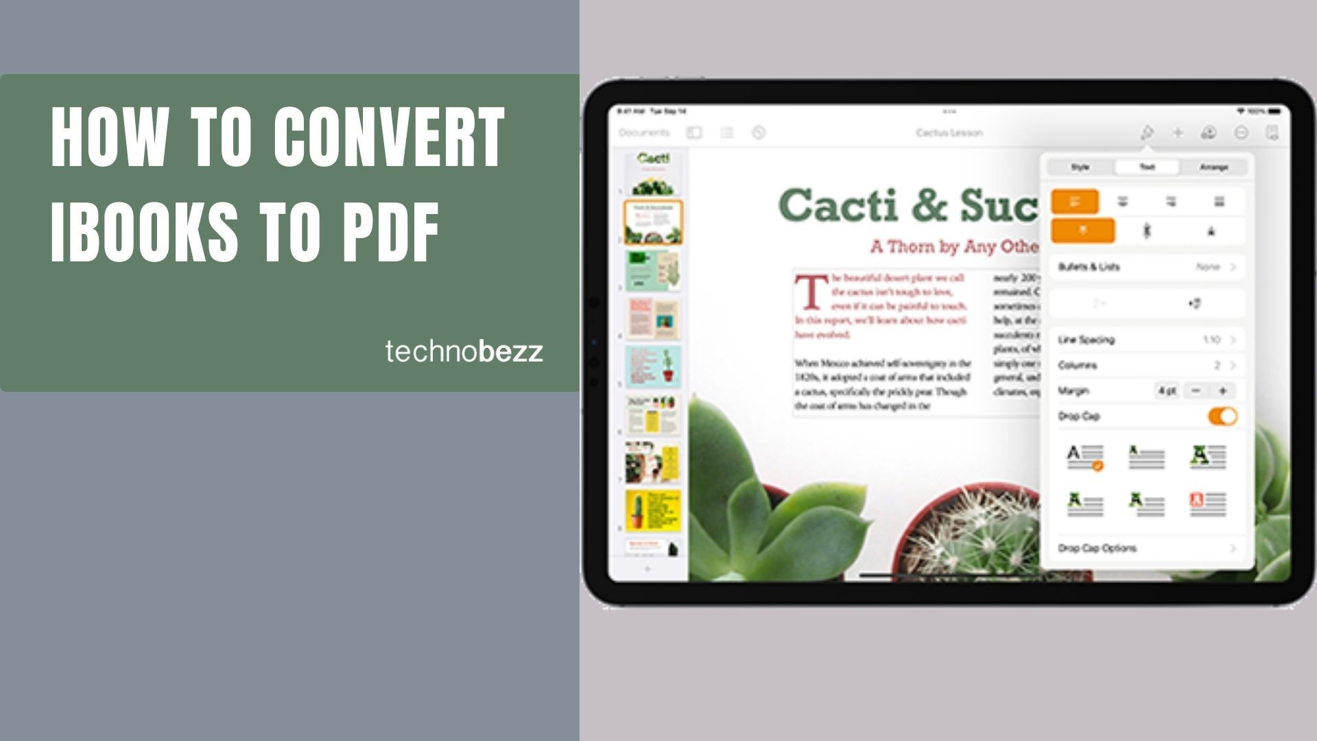How to Convert iBooks to PDF on Windows and Mac