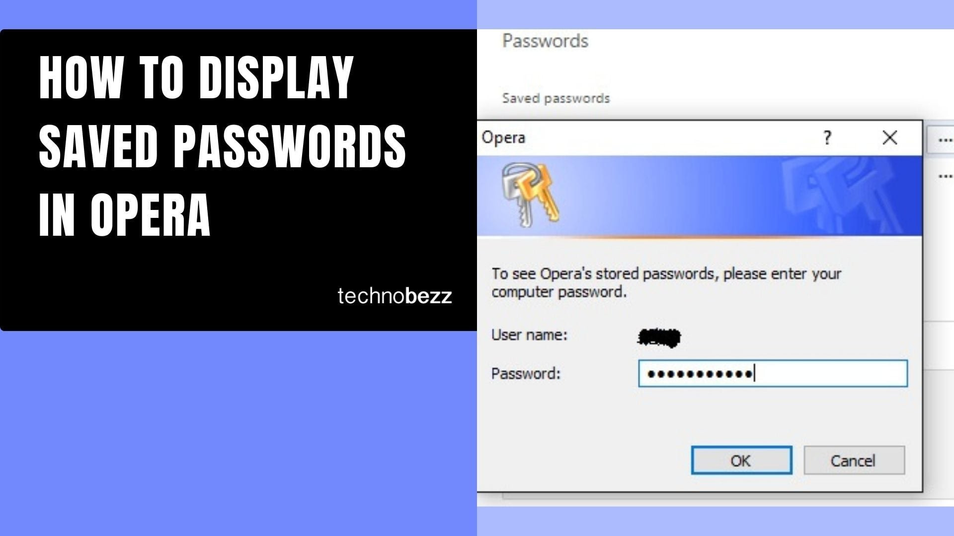 How To Display Saved Passwords In Opera