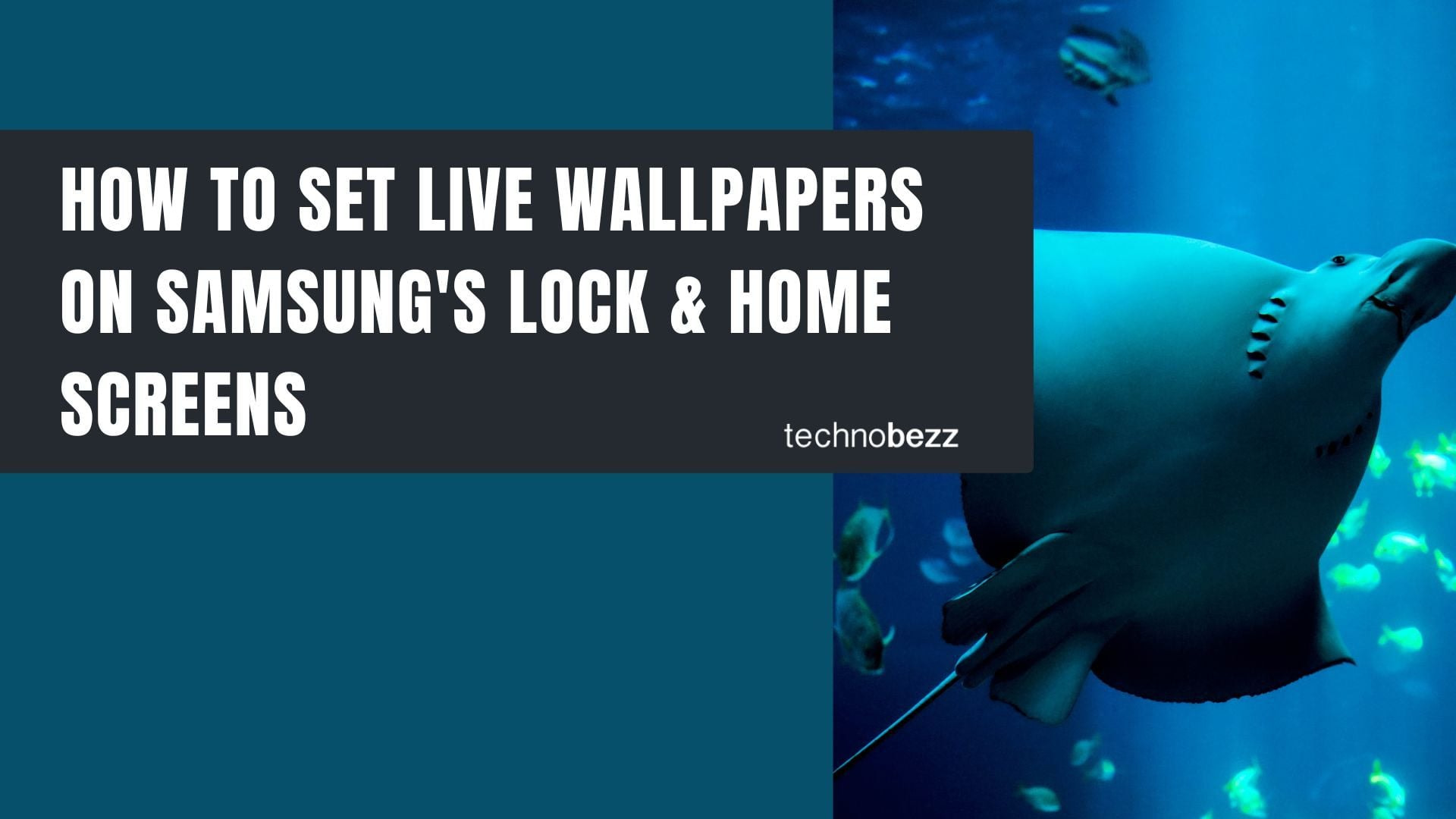 How to Set Live Wallpapers on Samsung Lock and Home Screens